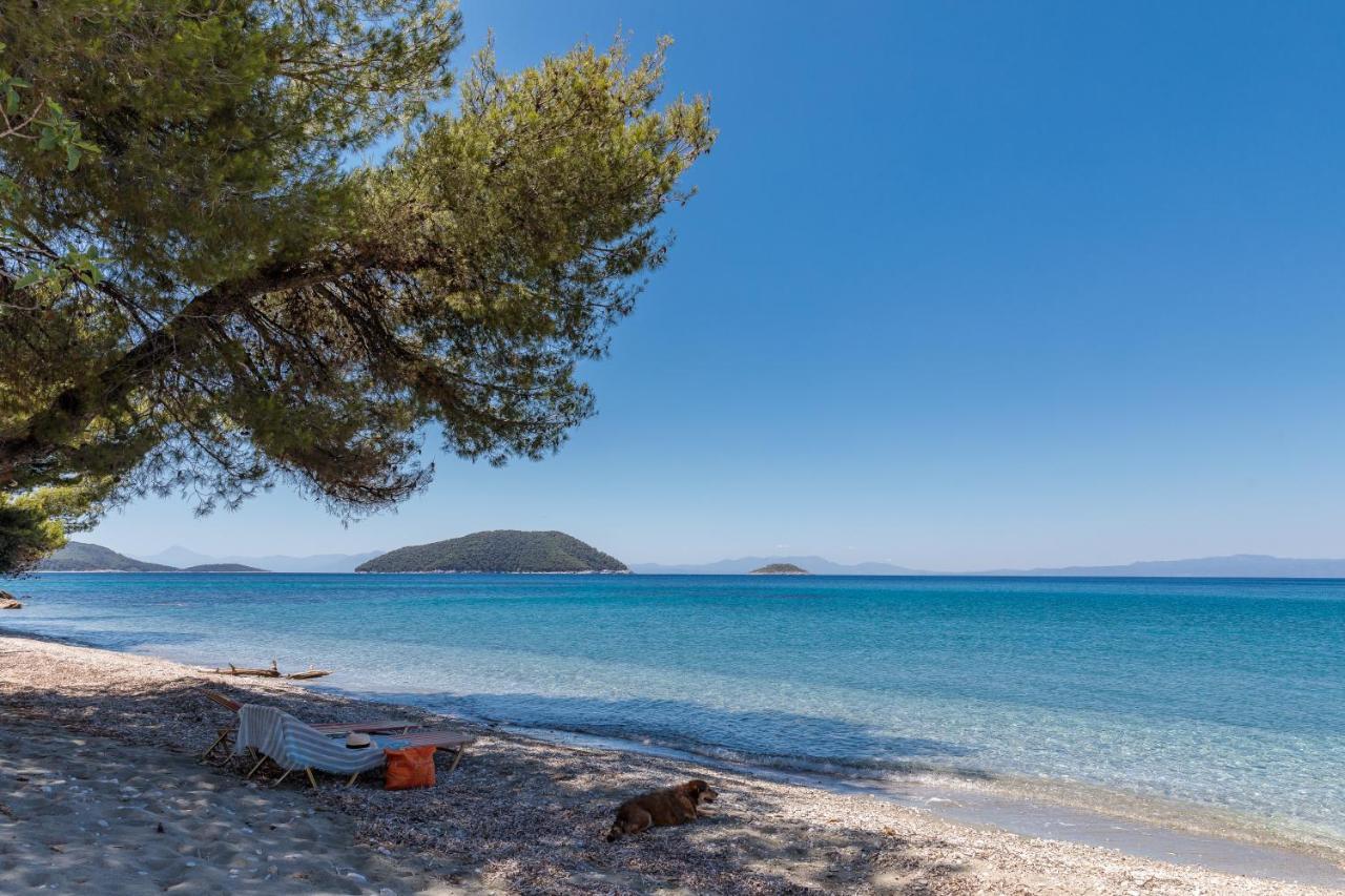 Stamatiou Estate Hotel Neo Klima Bagian luar foto