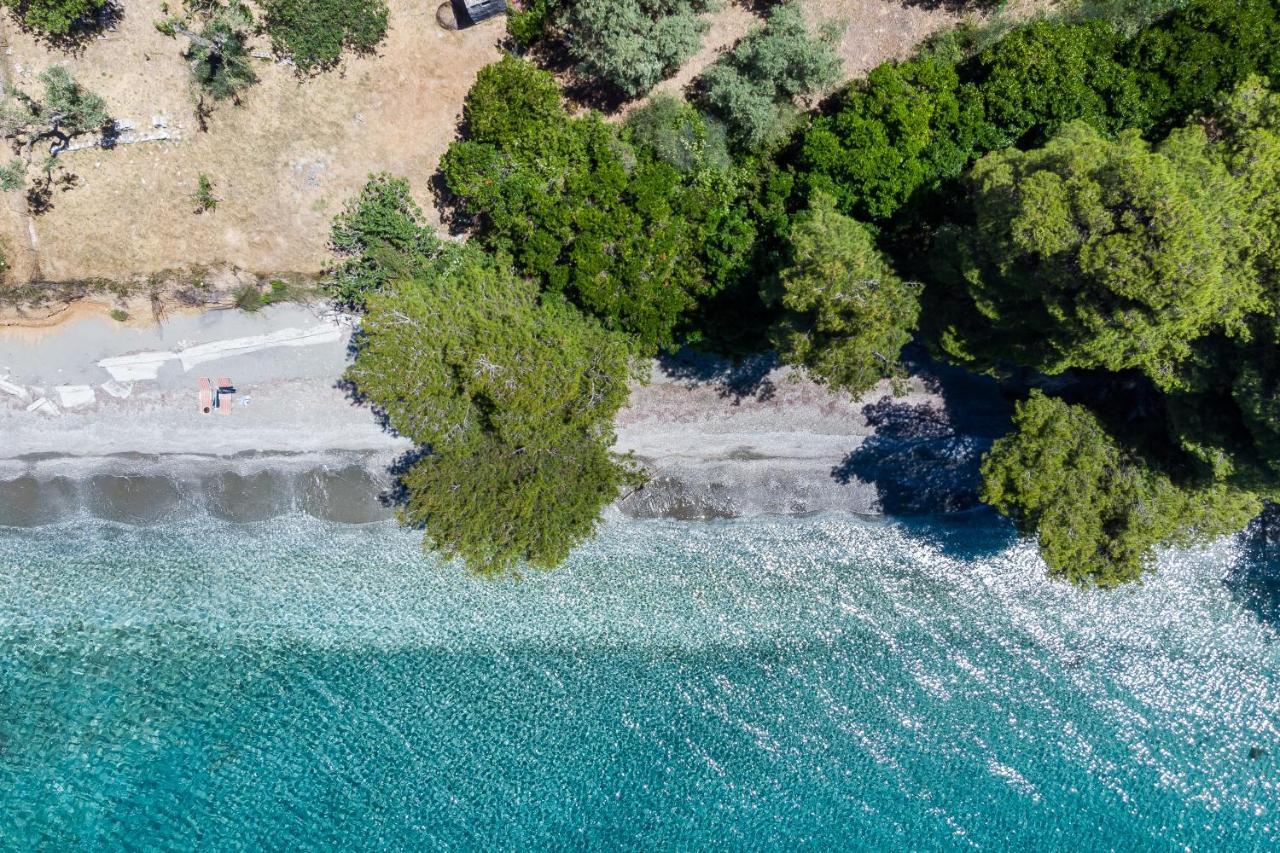 Stamatiou Estate Hotel Neo Klima Bagian luar foto